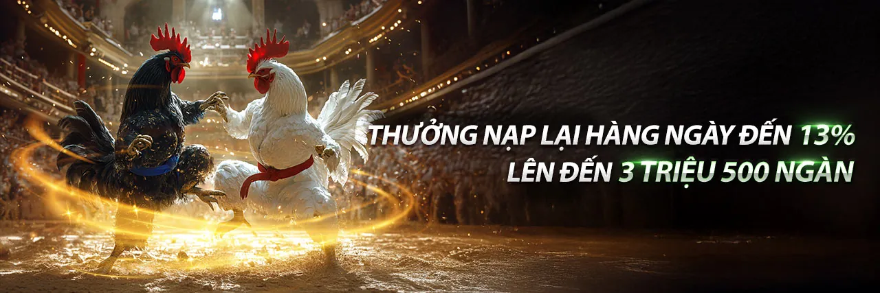 Hình ảnh chính về 88b Casino trực tuyến